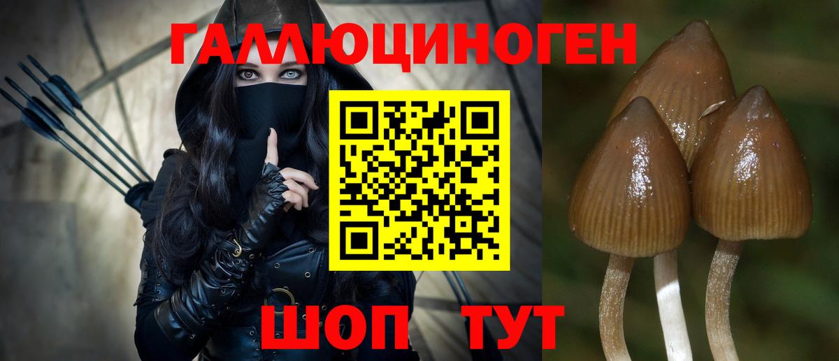 Псилоцибиновые грибы GOLDEN TEACHER  Вход с VPN  Урюпинск 